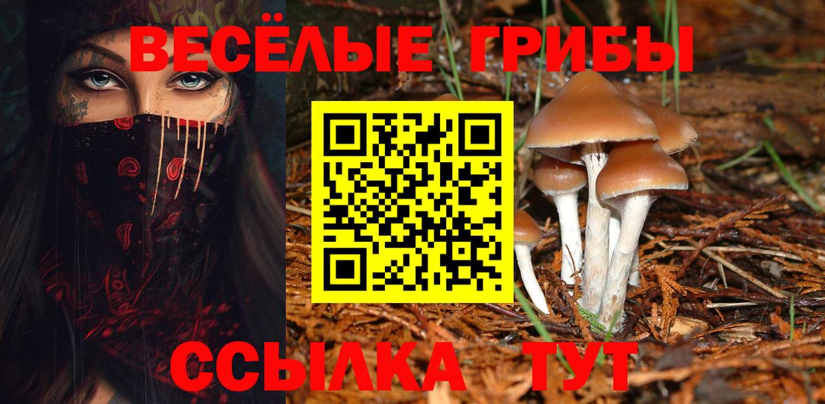 Сызрань  Галлюциногенные грибы MAGIC MUSHROOMS  Галлюциногенные грибы мухоморы  Вход с VPN 
